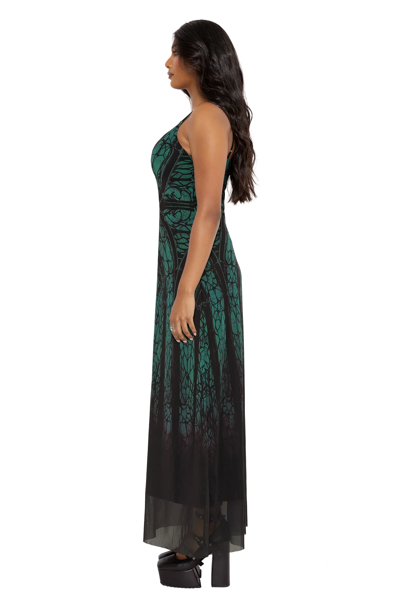 Preyer Sheer A-Line Maxi Dress - Image 4
