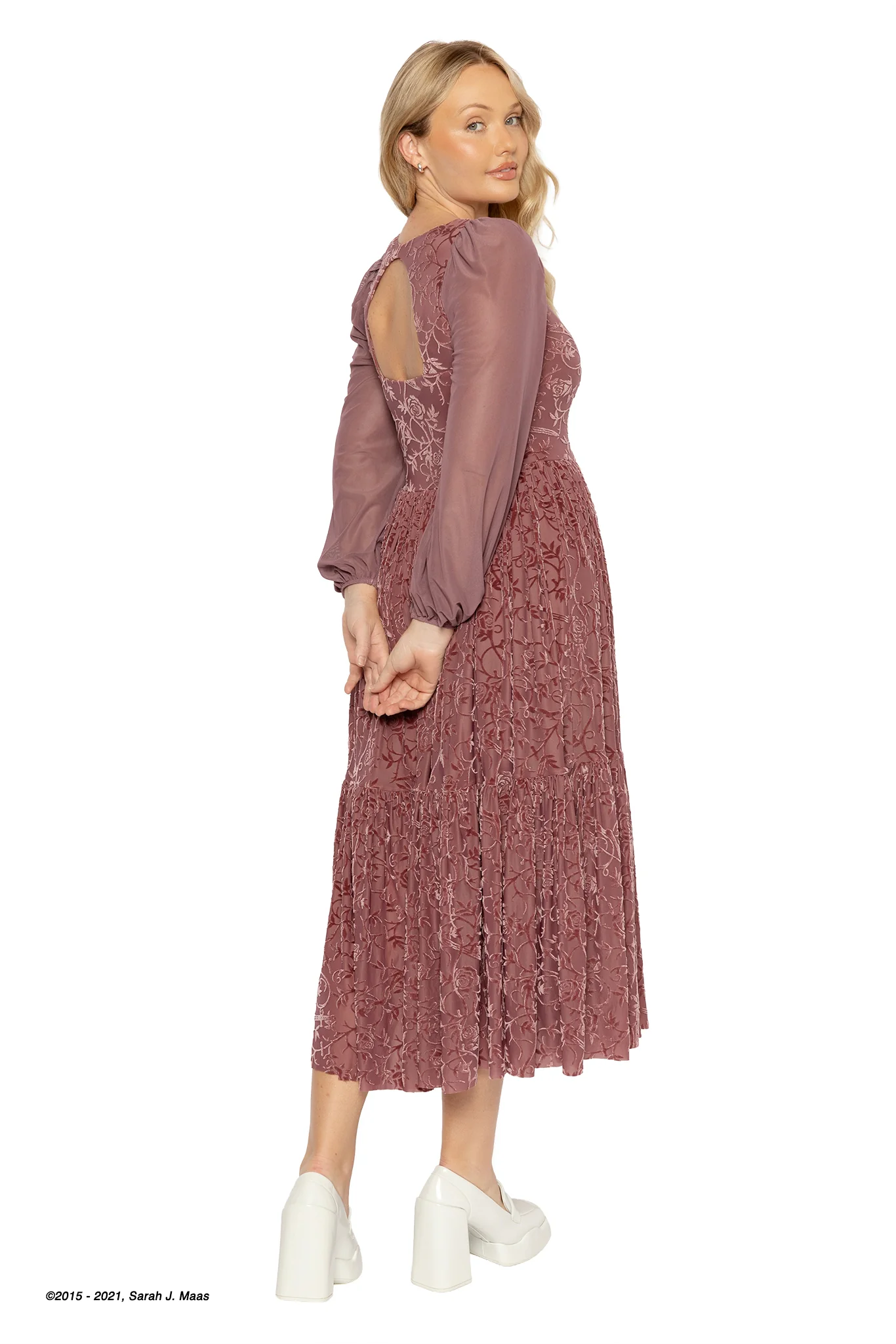 Spring Court Rosewood Burned Velvet Fae Queen Dress - Image 6